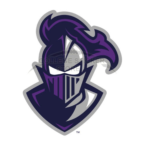 Design Furman Paladins Iron-on Transfers (Wall Stickers)NO.4433